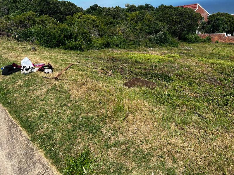 0 Bedroom Property for Sale in Blue Horizon Bay Eastern Cape